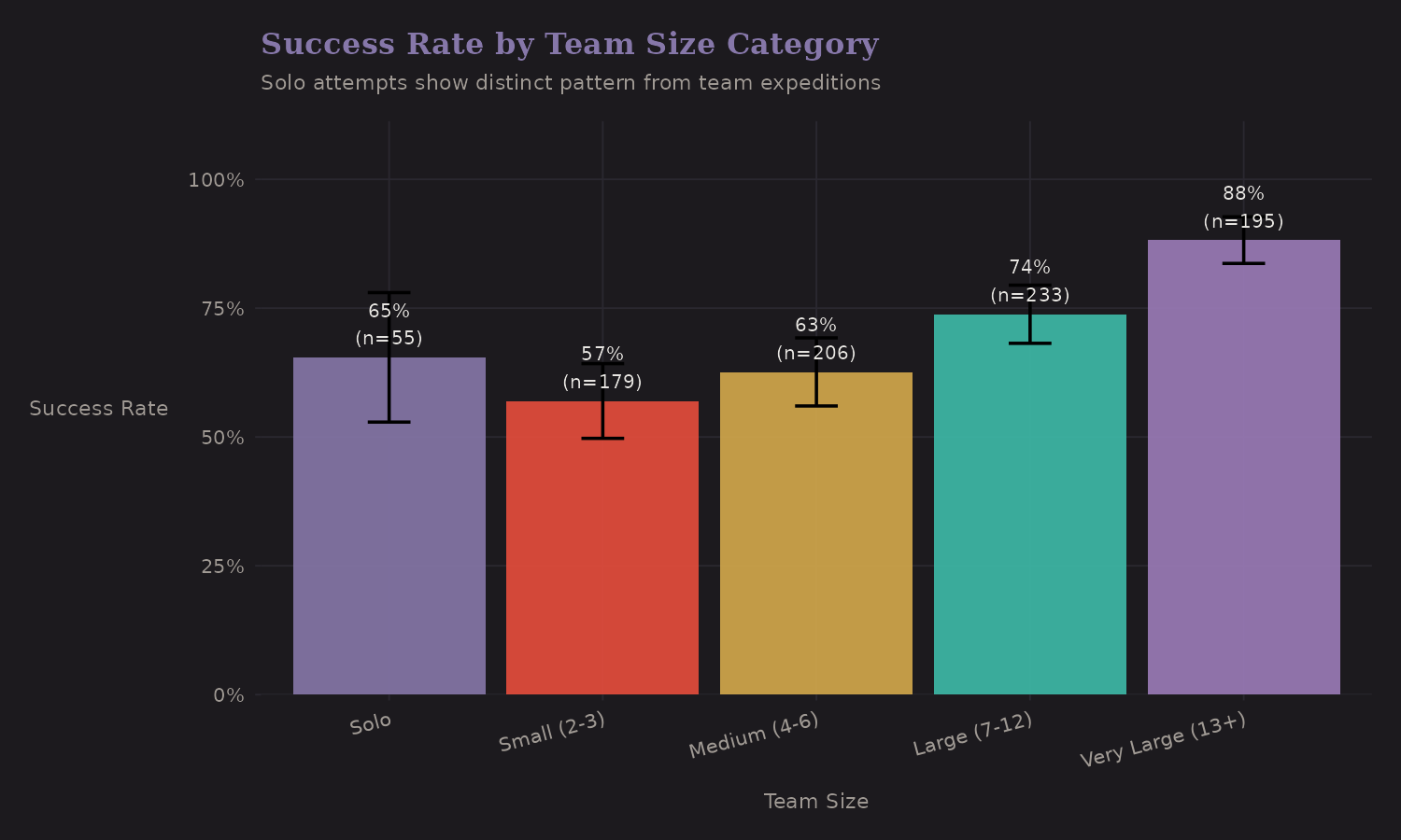 Success by team size category